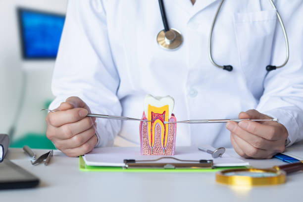 Best Emergency TMJ Treatment in International Falls, MN